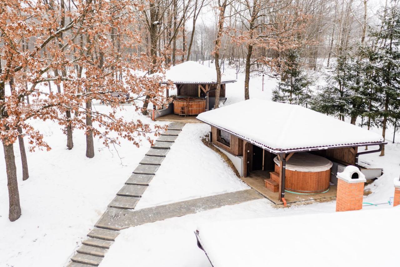 Transylvanian Relax House Lupeni  Екстер'єр фото