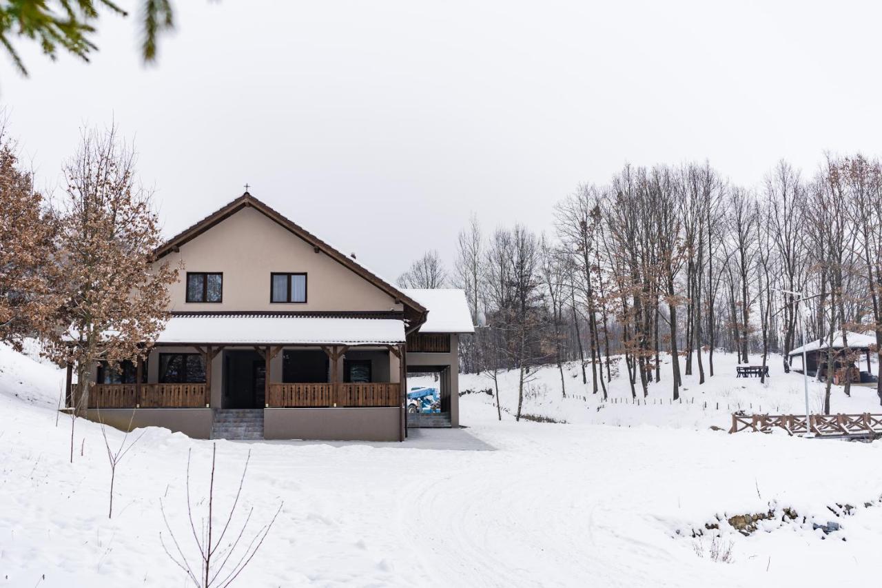 Transylvanian Relax House Lupeni  Екстер'єр фото