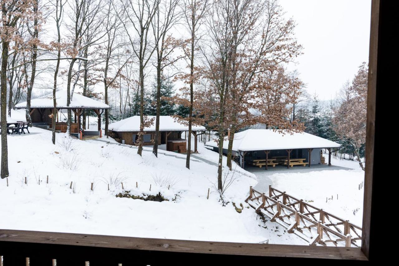 Transylvanian Relax House Lupeni  Екстер'єр фото